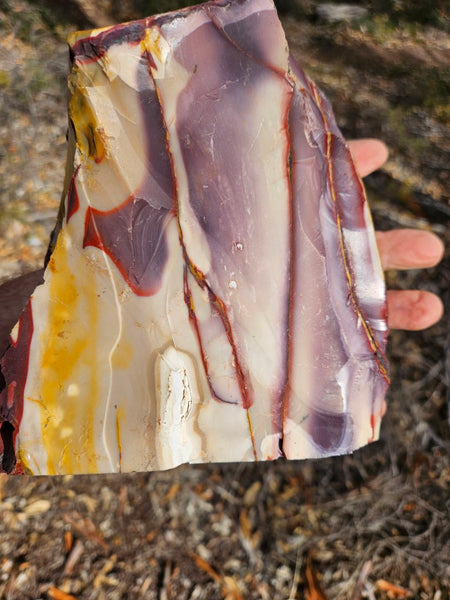 Polished Mookaite display specimen MK589
