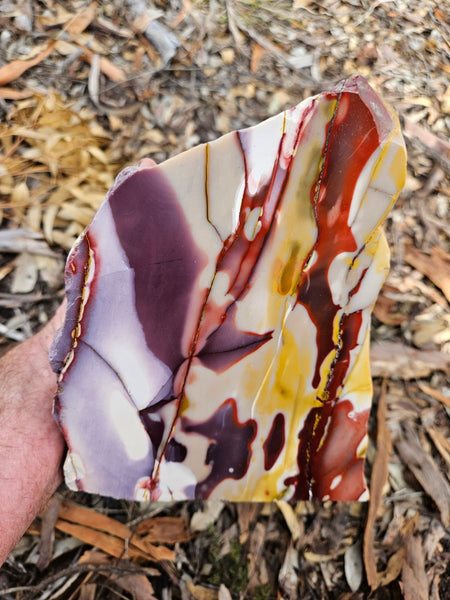 Polished Mookaite display specimen MK589