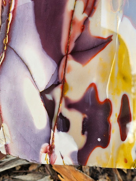 Polished Mookaite display specimen MK589