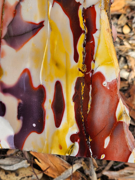Polished Mookaite display specimen MK589