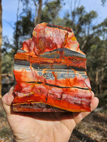 Sunset Jasper.