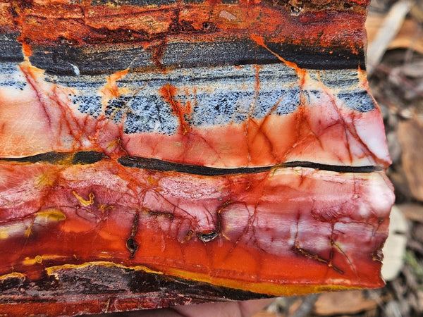 Sunset Jasper polished display specimen SU202