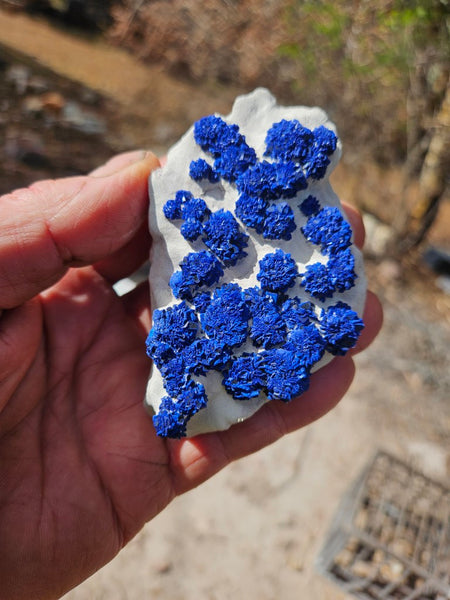 Azurite Sun  AZ196