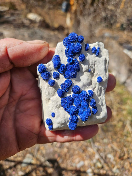 Azurite Sun  AZ195