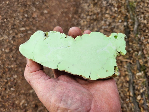 Polished Lime Magnesite . MAP223