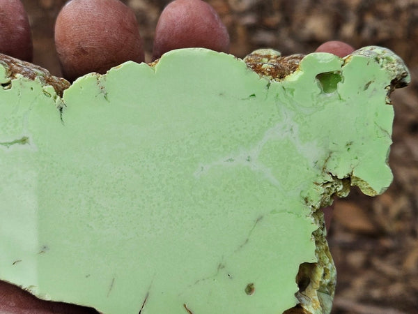 Polished Lime Magnesite . MAP223