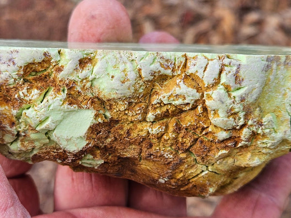 Polished Lime Magnesite . MAP223