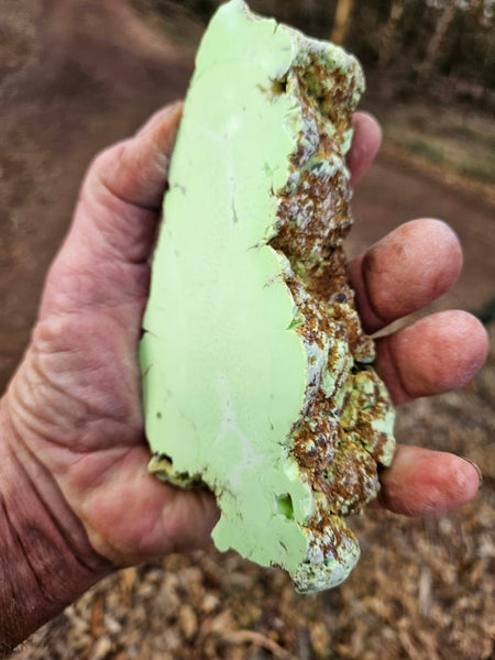 Polished Lime Magnesite . MAP223