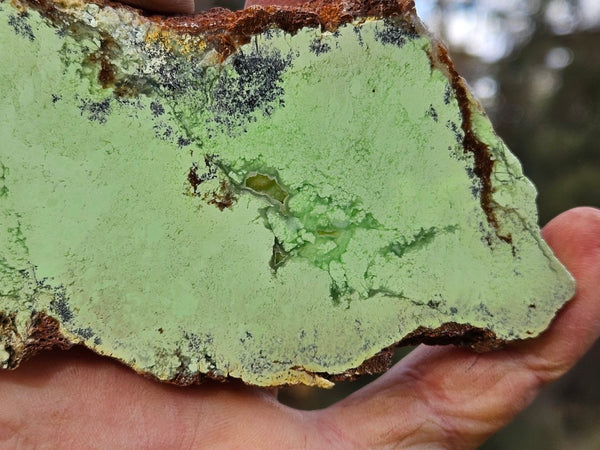 Polished Magnesite slab. MAP224