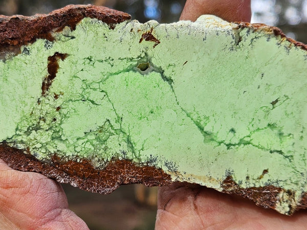Polished Magnesite slab. MAP224
