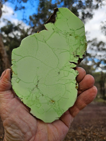 Polished Magnesite slab. MAP225