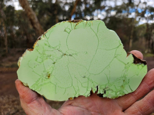 Polished Magnesite slab. MAP225