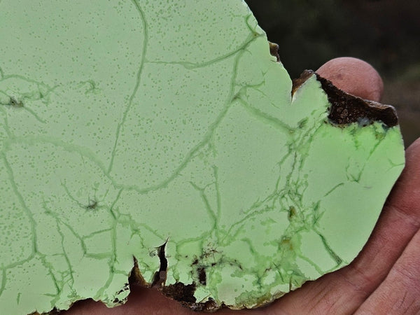 Polished Magnesite slab. MAP225