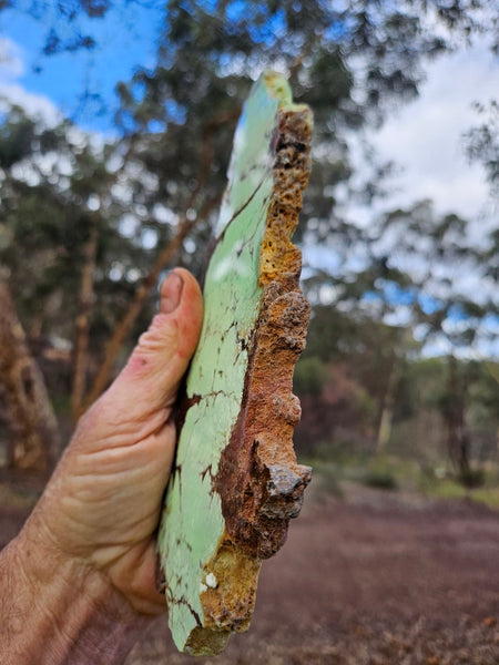 Polished Magnesite slab. MAP226