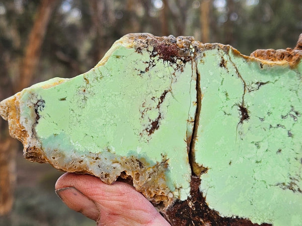 Polished Magnesite slab. MAP226