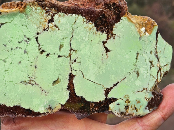 Polished Magnesite slab. MAP226