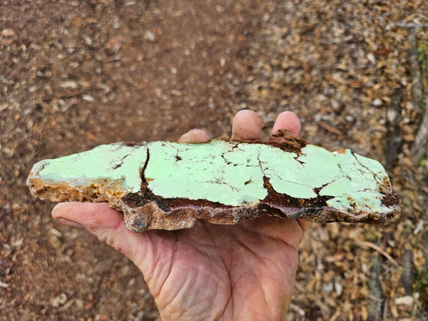 Polished Magnesite slab. MAP226