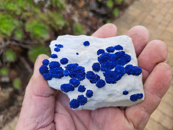 Azurite Sun  AZ195
