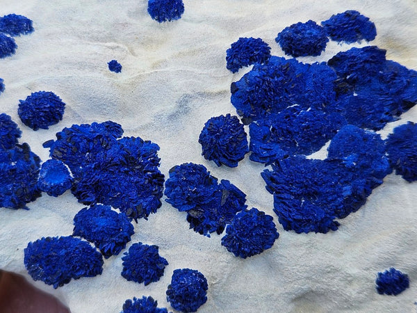 Azurite Sun  AZ195