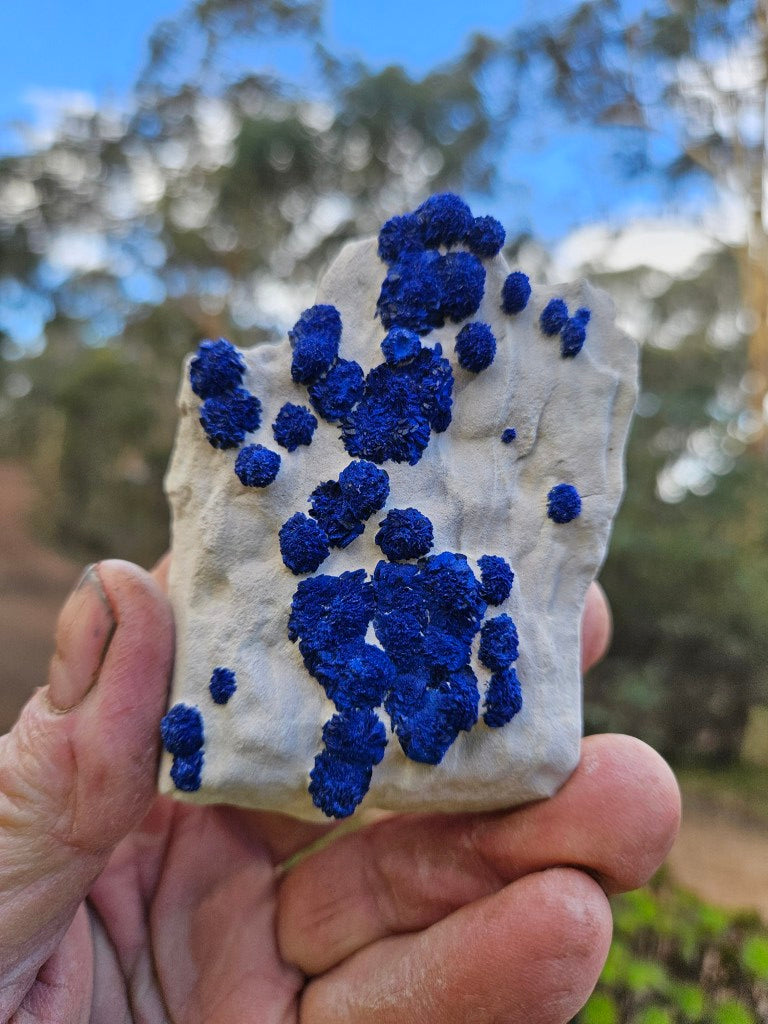 Azurite Sun  AZ195