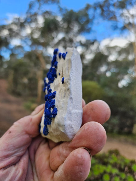 Azurite Sun  AZ195