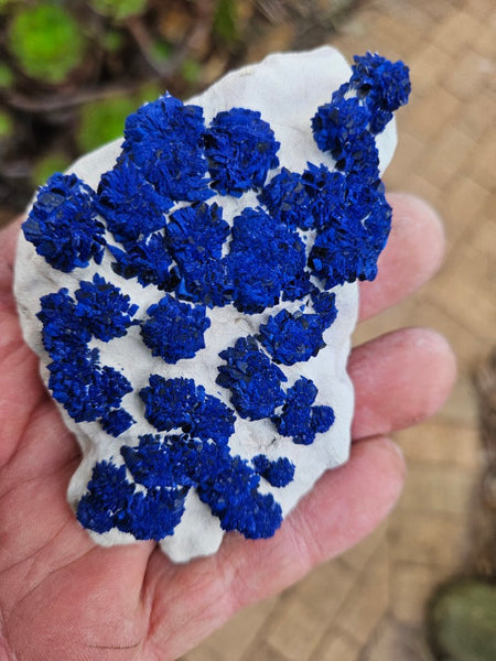Azurite Sun  AZ196