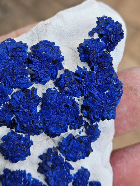 Azurite Sun  AZ196