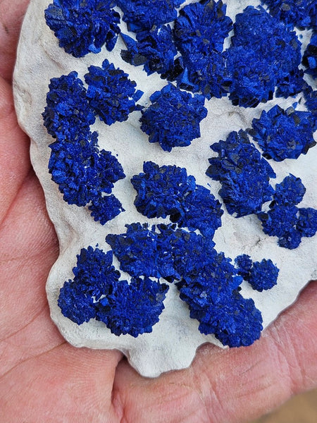 Azurite Sun  AZ196