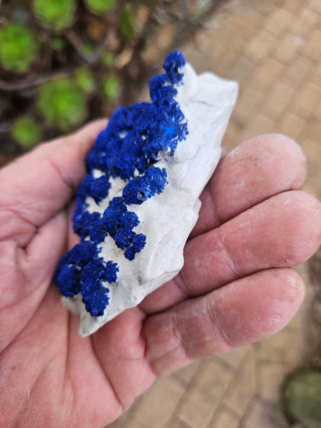 Azurite Sun  AZ196