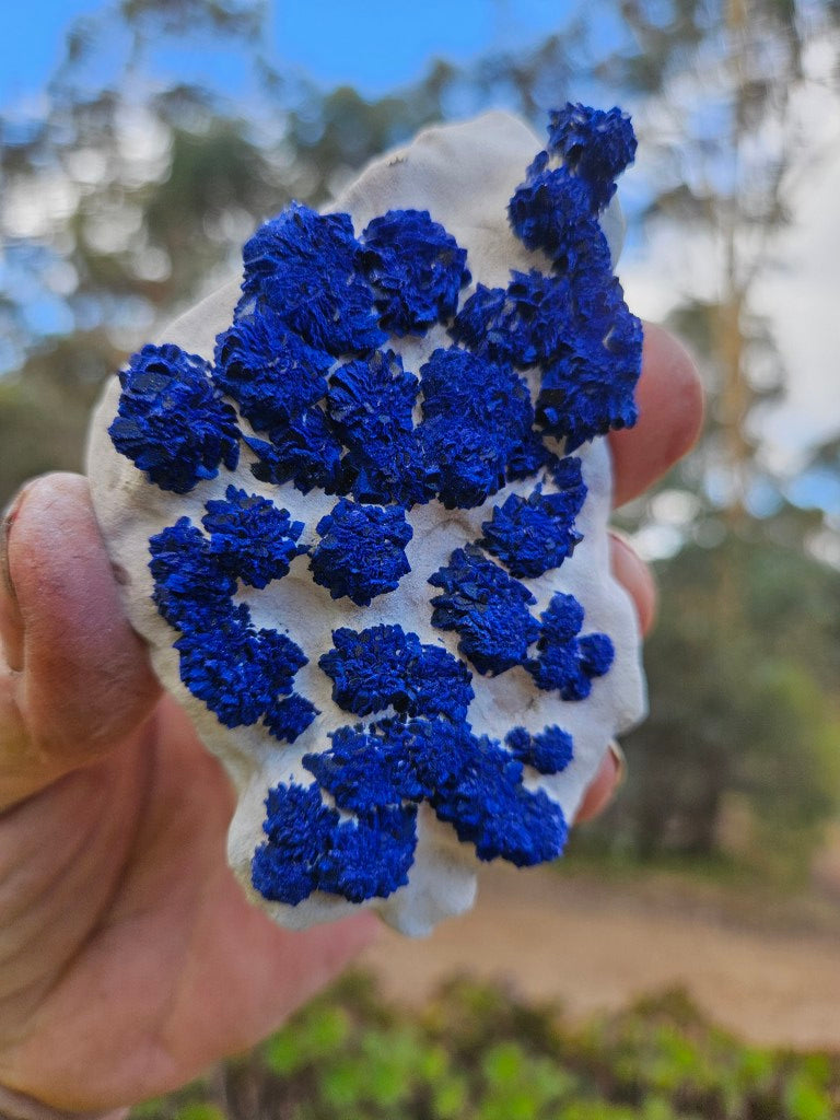 Azurite Sun  AZ196