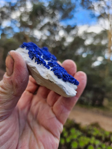 Azurite Sun  AZ196