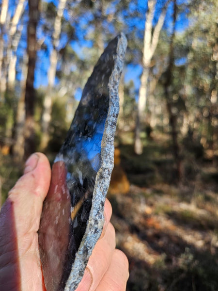 Black Jasper Conglomerate slab B239