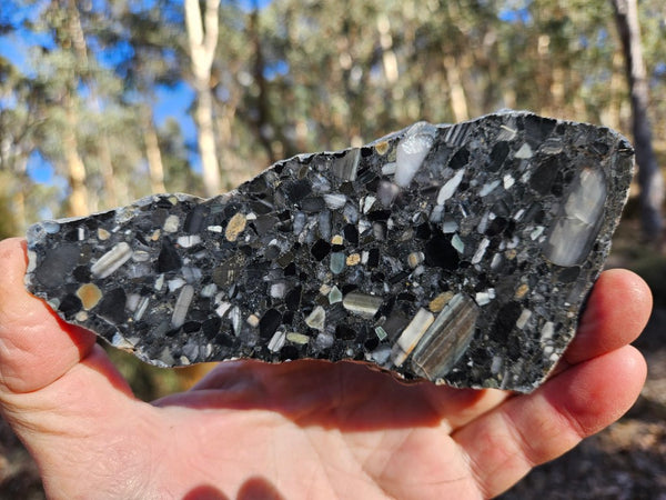 Black Jasper Conglomerate slab B239