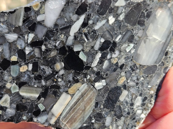 Black Jasper Conglomerate slab B239