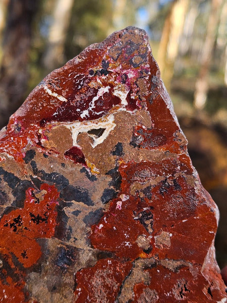 Polished De Grussa copper ore slab CO153