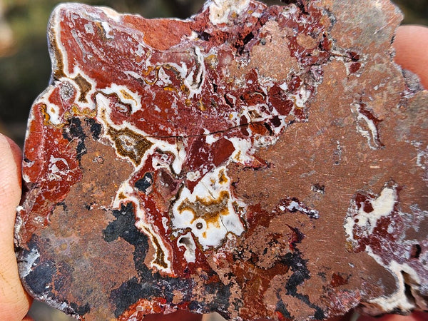 Polished De Grussa copper ore slab CO152