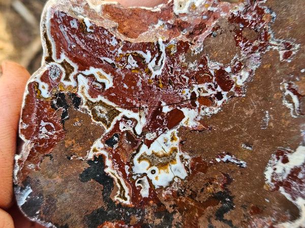 Polished De Grussa copper ore slab CO152