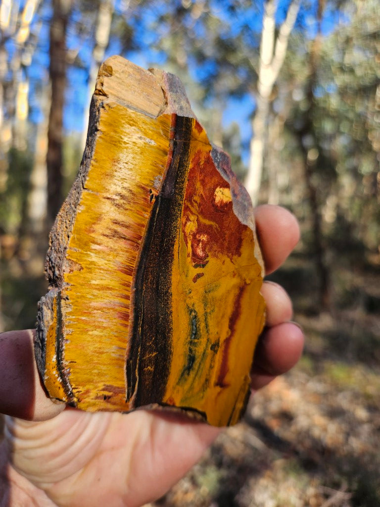 Polished Tiger Eye slab TE496
