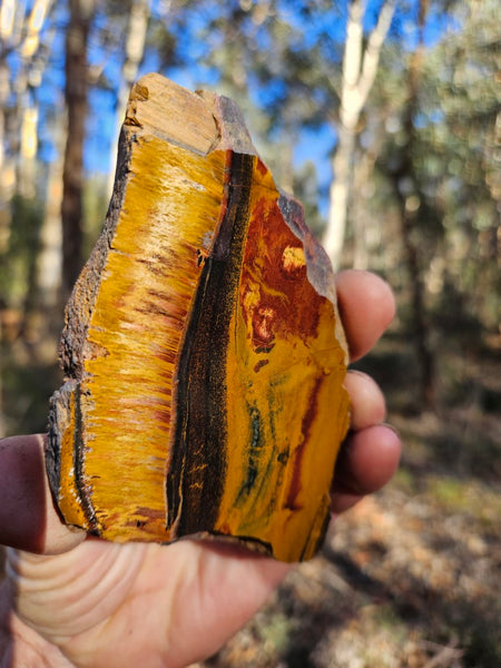 Polished Tiger Eye slab TE496