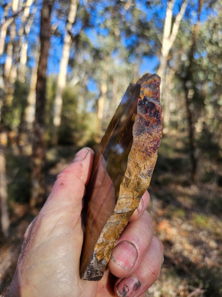 Polished Tiger Eye slab TE496