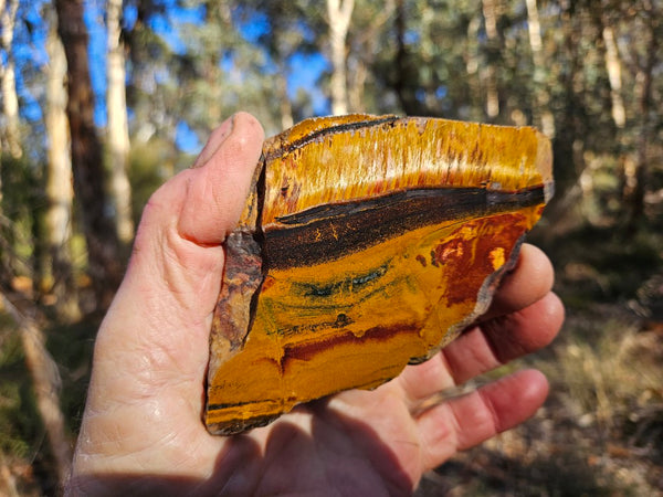 Polished Tiger Eye slab TE496