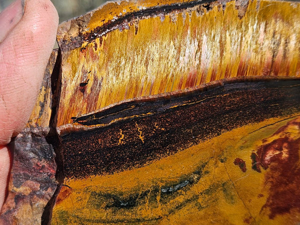 Polished Tiger Eye slab TE496