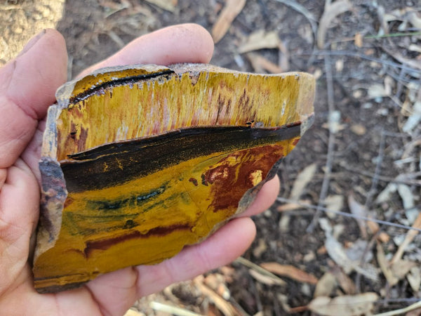 Polished Tiger Eye slab TE496