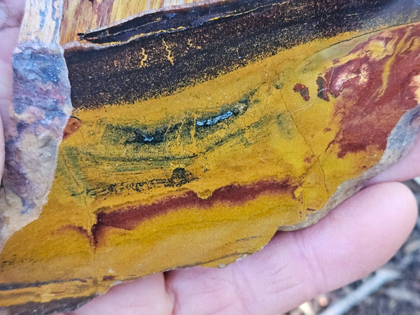 Polished Tiger Eye slab TE496