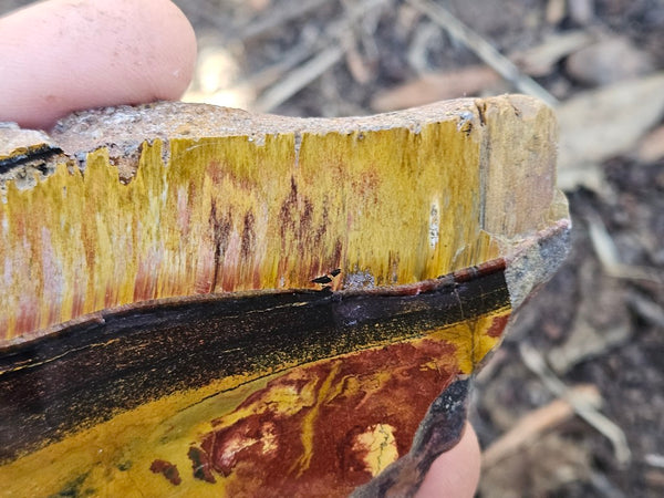 Polished Tiger Eye slab TE496