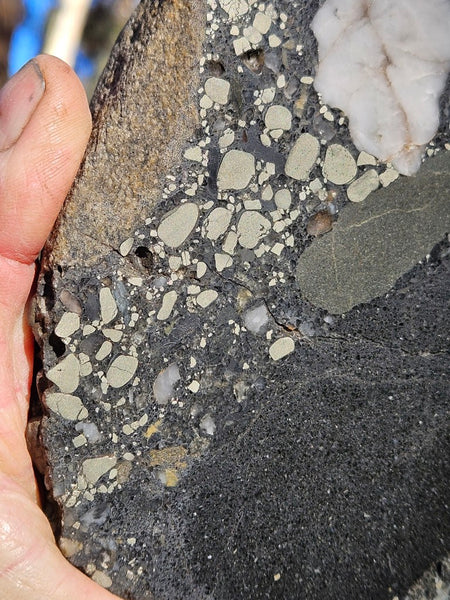 Polished Beaton's Creek auriferous conglomerate  BC122