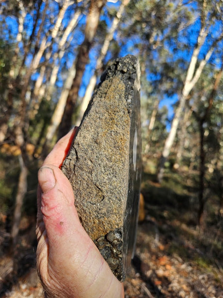 Polished Beaton's Creek auriferous conglomerate  BC122