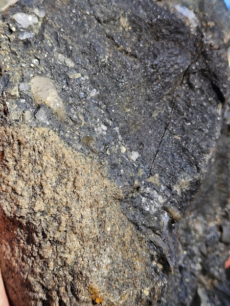 Polished Beaton's Creek auriferous conglomerate  BC122