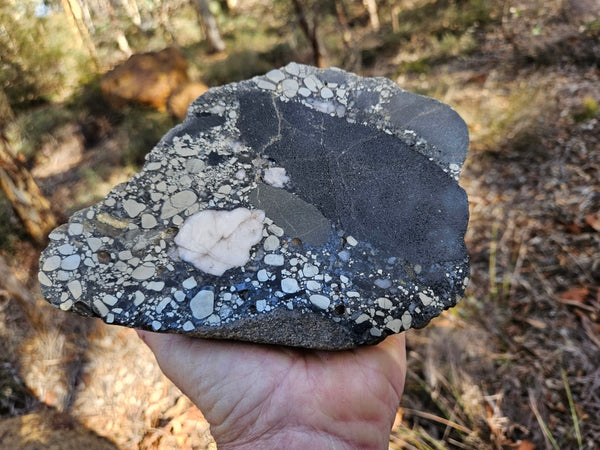 Polished Beaton's Creek auriferous conglomerate  BC122