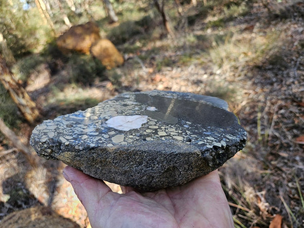 Polished Beaton's Creek auriferous conglomerate  BC122